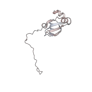 4317_6ftj_X_v1-0
Cryo-EM Structure of the Mammalian Oligosaccharyltransferase Bound to Sec61 and the Non-programmed 80S Ribosome