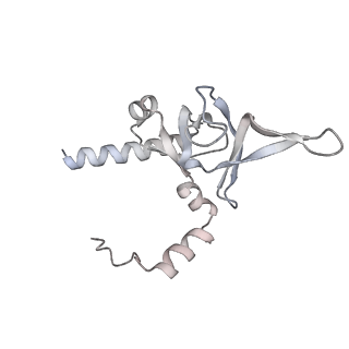 4317_6ftj_Y_v1-0
Cryo-EM Structure of the Mammalian Oligosaccharyltransferase Bound to Sec61 and the Non-programmed 80S Ribosome