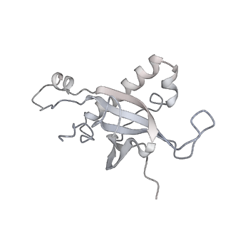 4317_6ftj_Z_v1-0
Cryo-EM Structure of the Mammalian Oligosaccharyltransferase Bound to Sec61 and the Non-programmed 80S Ribosome