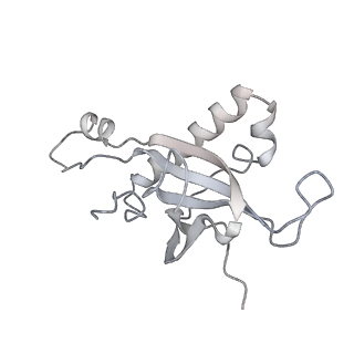 4317_6ftj_Z_v2-4
Cryo-EM Structure of the Mammalian Oligosaccharyltransferase Bound to Sec61 and the Non-programmed 80S Ribosome
