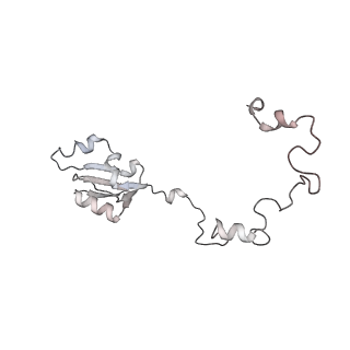 4317_6ftj_a_v1-0
Cryo-EM Structure of the Mammalian Oligosaccharyltransferase Bound to Sec61 and the Non-programmed 80S Ribosome