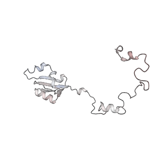 4317_6ftj_a_v2-4
Cryo-EM Structure of the Mammalian Oligosaccharyltransferase Bound to Sec61 and the Non-programmed 80S Ribosome