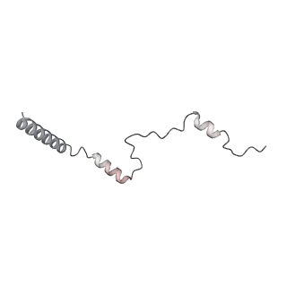 4317_6ftj_b_v1-0
Cryo-EM Structure of the Mammalian Oligosaccharyltransferase Bound to Sec61 and the Non-programmed 80S Ribosome