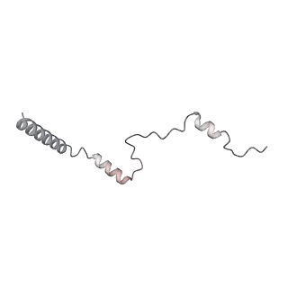 4317_6ftj_b_v2-4
Cryo-EM Structure of the Mammalian Oligosaccharyltransferase Bound to Sec61 and the Non-programmed 80S Ribosome