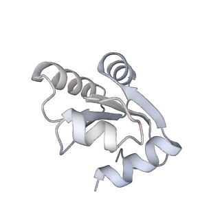 4317_6ftj_c_v1-0
Cryo-EM Structure of the Mammalian Oligosaccharyltransferase Bound to Sec61 and the Non-programmed 80S Ribosome