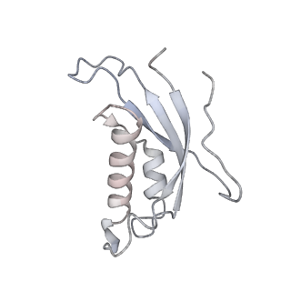 4317_6ftj_d_v1-0
Cryo-EM Structure of the Mammalian Oligosaccharyltransferase Bound to Sec61 and the Non-programmed 80S Ribosome