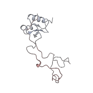 4317_6ftj_e_v1-0
Cryo-EM Structure of the Mammalian Oligosaccharyltransferase Bound to Sec61 and the Non-programmed 80S Ribosome