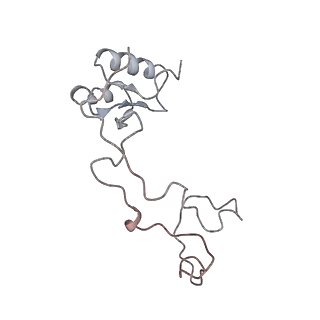 4317_6ftj_e_v2-4
Cryo-EM Structure of the Mammalian Oligosaccharyltransferase Bound to Sec61 and the Non-programmed 80S Ribosome