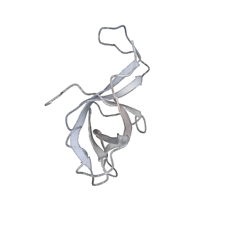 4317_6ftj_f_v1-0
Cryo-EM Structure of the Mammalian Oligosaccharyltransferase Bound to Sec61 and the Non-programmed 80S Ribosome