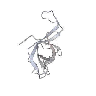 4317_6ftj_f_v2-4
Cryo-EM Structure of the Mammalian Oligosaccharyltransferase Bound to Sec61 and the Non-programmed 80S Ribosome
