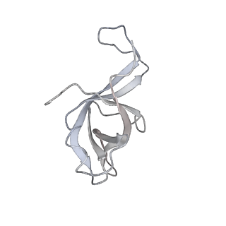 4317_6ftj_f_v3-0
Cryo-EM Structure of the Mammalian Oligosaccharyltransferase Bound to Sec61 and the Non-programmed 80S Ribosome