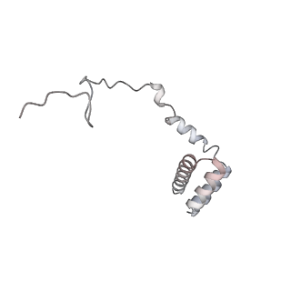 4317_6ftj_i_v1-0
Cryo-EM Structure of the Mammalian Oligosaccharyltransferase Bound to Sec61 and the Non-programmed 80S Ribosome