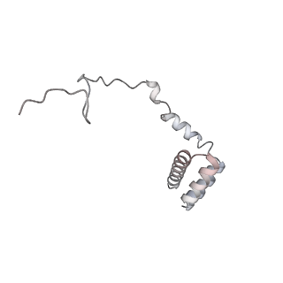 4317_6ftj_i_v2-4
Cryo-EM Structure of the Mammalian Oligosaccharyltransferase Bound to Sec61 and the Non-programmed 80S Ribosome