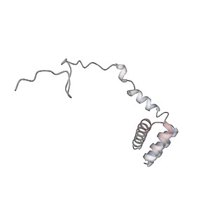 4317_6ftj_i_v3-0
Cryo-EM Structure of the Mammalian Oligosaccharyltransferase Bound to Sec61 and the Non-programmed 80S Ribosome