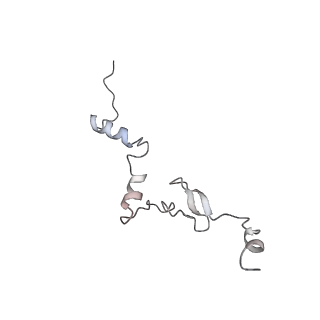 4317_6ftj_j_v1-0
Cryo-EM Structure of the Mammalian Oligosaccharyltransferase Bound to Sec61 and the Non-programmed 80S Ribosome