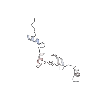 4317_6ftj_j_v2-4
Cryo-EM Structure of the Mammalian Oligosaccharyltransferase Bound to Sec61 and the Non-programmed 80S Ribosome