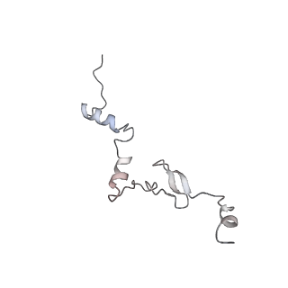 4317_6ftj_j_v3-0
Cryo-EM Structure of the Mammalian Oligosaccharyltransferase Bound to Sec61 and the Non-programmed 80S Ribosome