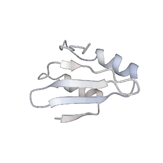 4317_6ftj_k_v1-0
Cryo-EM Structure of the Mammalian Oligosaccharyltransferase Bound to Sec61 and the Non-programmed 80S Ribosome