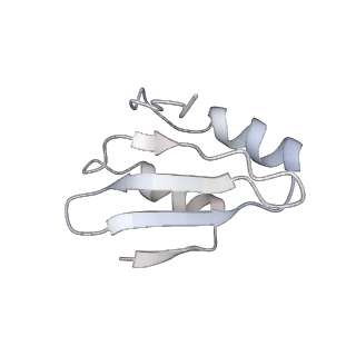 4317_6ftj_k_v2-4
Cryo-EM Structure of the Mammalian Oligosaccharyltransferase Bound to Sec61 and the Non-programmed 80S Ribosome