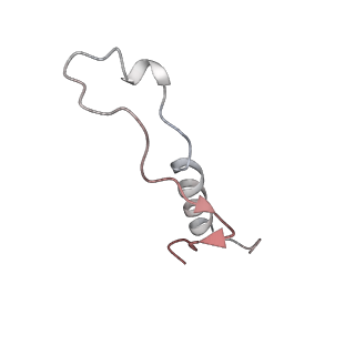 4317_6ftj_l_v2-4
Cryo-EM Structure of the Mammalian Oligosaccharyltransferase Bound to Sec61 and the Non-programmed 80S Ribosome