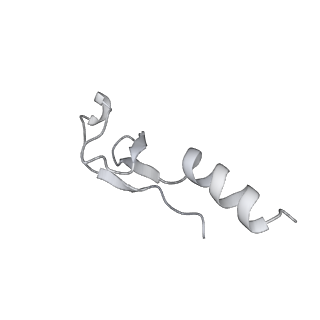 4317_6ftj_m_v1-0
Cryo-EM Structure of the Mammalian Oligosaccharyltransferase Bound to Sec61 and the Non-programmed 80S Ribosome