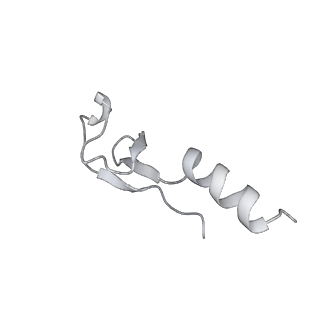 4317_6ftj_m_v3-0
Cryo-EM Structure of the Mammalian Oligosaccharyltransferase Bound to Sec61 and the Non-programmed 80S Ribosome
