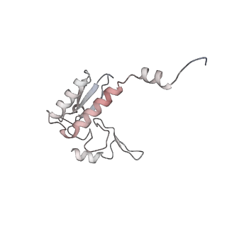 4317_6ftj_r_v1-0
Cryo-EM Structure of the Mammalian Oligosaccharyltransferase Bound to Sec61 and the Non-programmed 80S Ribosome
