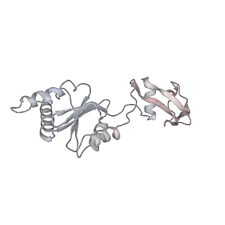 4317_6ftj_s_v1-0
Cryo-EM Structure of the Mammalian Oligosaccharyltransferase Bound to Sec61 and the Non-programmed 80S Ribosome