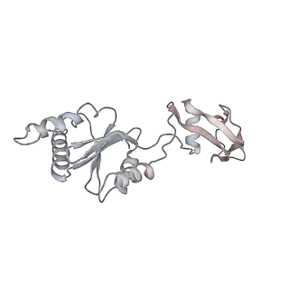 4317_6ftj_s_v2-4
Cryo-EM Structure of the Mammalian Oligosaccharyltransferase Bound to Sec61 and the Non-programmed 80S Ribosome
