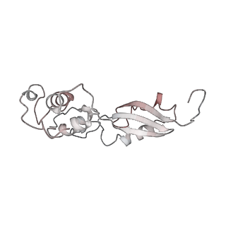 4317_6ftj_t_v3-0
Cryo-EM Structure of the Mammalian Oligosaccharyltransferase Bound to Sec61 and the Non-programmed 80S Ribosome