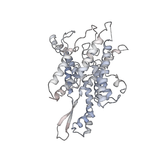 4317_6ftj_x_v1-0
Cryo-EM Structure of the Mammalian Oligosaccharyltransferase Bound to Sec61 and the Non-programmed 80S Ribosome