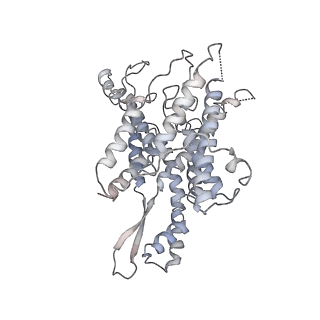 4317_6ftj_x_v3-0
Cryo-EM Structure of the Mammalian Oligosaccharyltransferase Bound to Sec61 and the Non-programmed 80S Ribosome