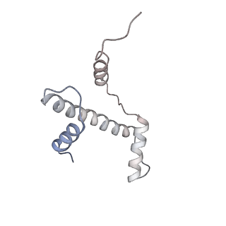 4318_6ftx_A_v1-2
Structure of the chromatin remodelling enzyme Chd1 bound to a ubiquitinylated nucleosome