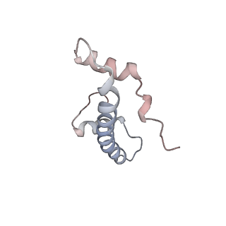 4318_6ftx_B_v1-2
Structure of the chromatin remodelling enzyme Chd1 bound to a ubiquitinylated nucleosome