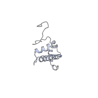 4318_6ftx_C_v1-2
Structure of the chromatin remodelling enzyme Chd1 bound to a ubiquitinylated nucleosome