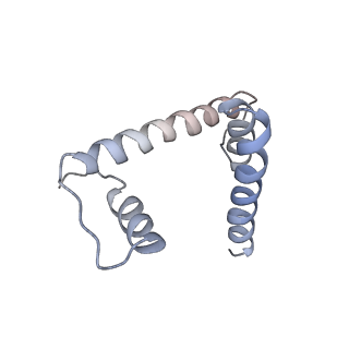 4318_6ftx_D_v1-2
Structure of the chromatin remodelling enzyme Chd1 bound to a ubiquitinylated nucleosome