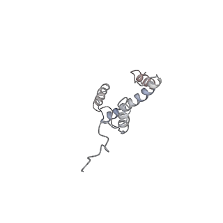 4318_6ftx_E_v1-2
Structure of the chromatin remodelling enzyme Chd1 bound to a ubiquitinylated nucleosome