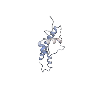 4318_6ftx_G_v1-2
Structure of the chromatin remodelling enzyme Chd1 bound to a ubiquitinylated nucleosome