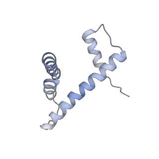 4318_6ftx_H_v1-2
Structure of the chromatin remodelling enzyme Chd1 bound to a ubiquitinylated nucleosome
