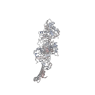 4318_6ftx_W_v1-2
Structure of the chromatin remodelling enzyme Chd1 bound to a ubiquitinylated nucleosome
