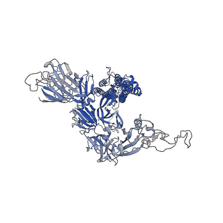 29454_8fu7_A_v1-0
Structure of Covid Spike variant deltaN135 in fully closed form