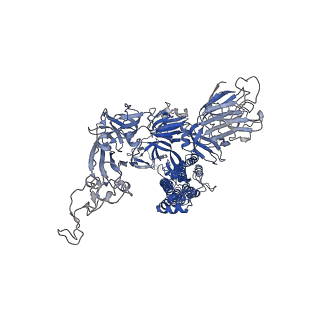 29454_8fu7_C_v1-0
Structure of Covid Spike variant deltaN135 in fully closed form