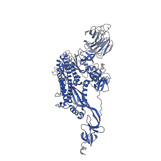 29455_8fu8_A_v1-0
Structure of Covid Spike variant deltaN135 with one erect RBD