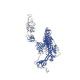 29455_8fu8_B_v1-0
Structure of Covid Spike variant deltaN135 with one erect RBD