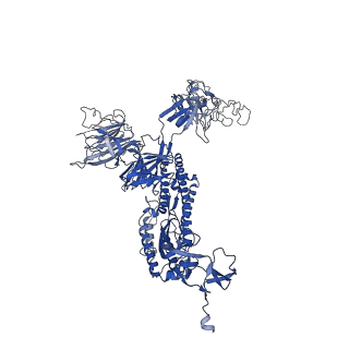 29455_8fu8_C_v1-0
Structure of Covid Spike variant deltaN135 with one erect RBD