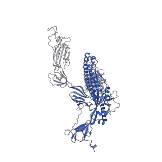 29456_8fu9_A_v1-0
Structure of Covid Spike variant deltaN25 with one erect RBD