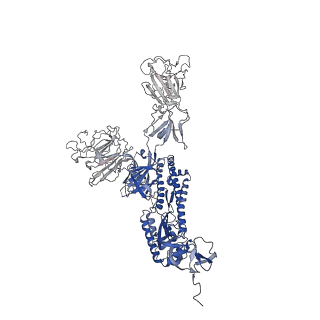29456_8fu9_B_v1-0
Structure of Covid Spike variant deltaN25 with one erect RBD