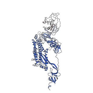 29456_8fu9_C_v1-0
Structure of Covid Spike variant deltaN25 with one erect RBD