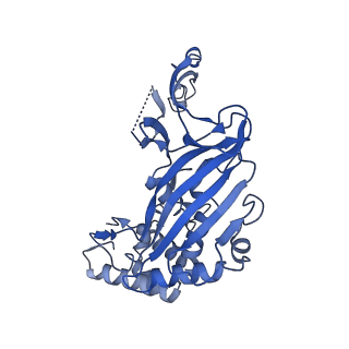 29459_8fuk_A_v1-0
V. cholerae TniQ-Cascade complex with Type III-B crRNA