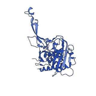 29459_8fuk_B_v1-0
V. cholerae TniQ-Cascade complex with Type III-B crRNA